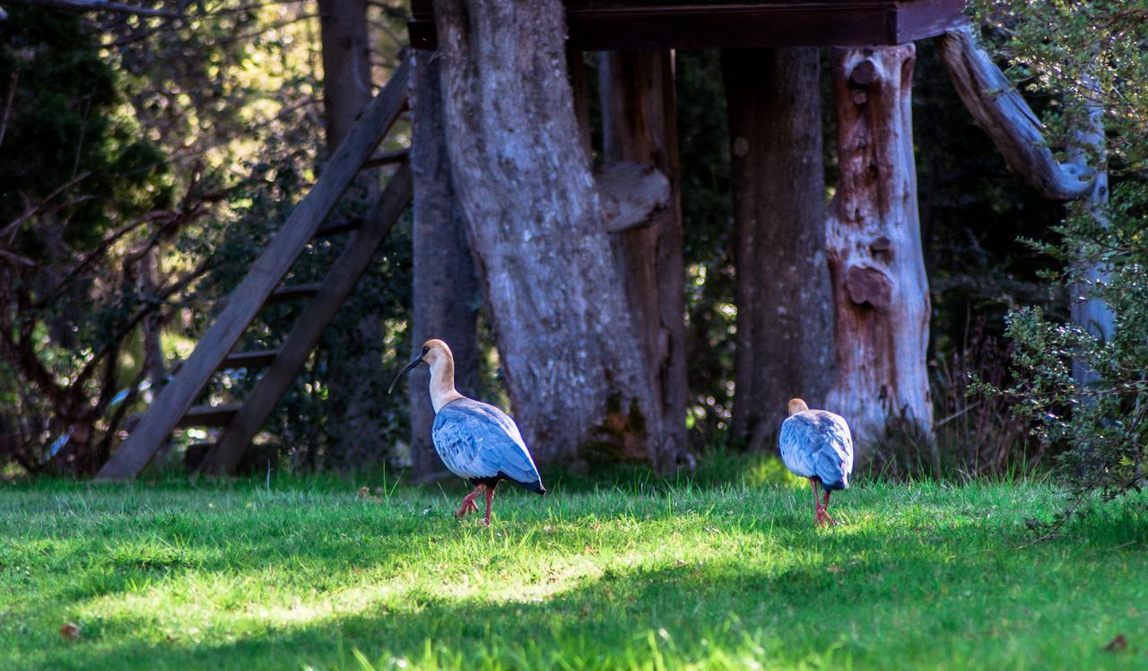 Cabanas Naxara Villa La Angostura Zewnętrze zdjęcie